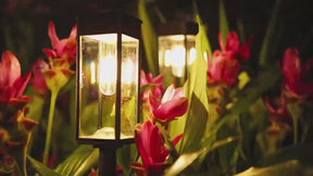 Kit Luminária Solar de Gramado LED Efeito Tungstênio Decorativo